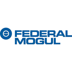 federal mogul 1