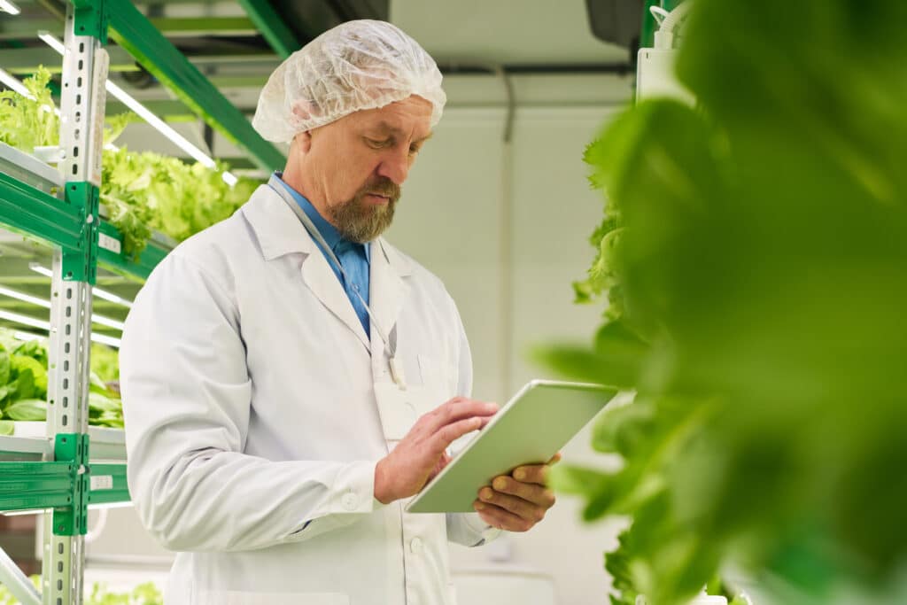 mature male scientist workwear using tablet vertical farm